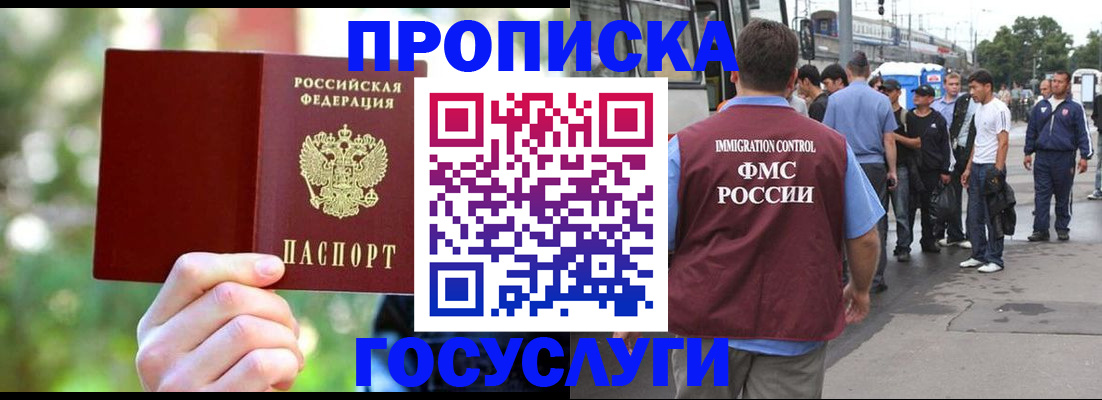 прописка поиск в Камышлове